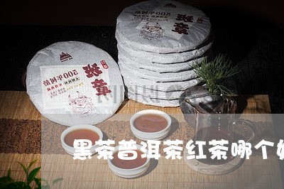 黑茶普洱茶红茶哪个好/2023080224959