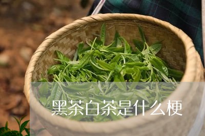 黑茶白茶是什么梗/2023071284835