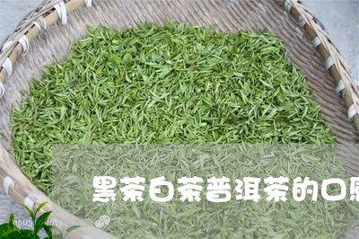 黑茶白茶普洱茶的口感/2023100729716