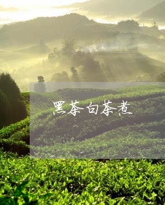 黑茶白茶煮/2023051207958