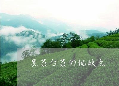 黑茶白茶的优缺点/2023071260591