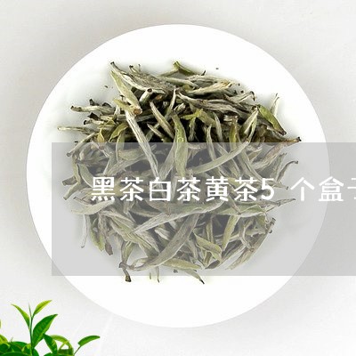 黑茶白茶黄茶5个盒子/2023092792937