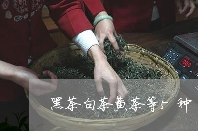 黑茶白茶黄茶等5种/2023121579370