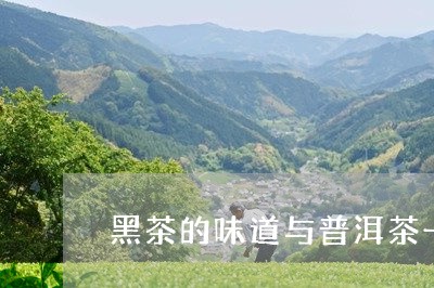 黑茶的味道与普洱茶一样/2023101701471