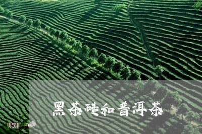 黑茶砖和普洱茶/2023081591715