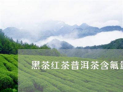 黑茶红茶普洱茶含氟量/2023062488693