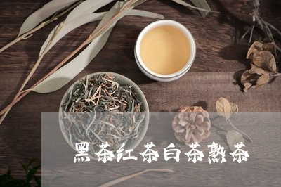 黑茶红茶白茶熟茶/2023071279693