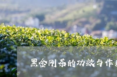 黑金刚茶的功效与作用/2023060985916