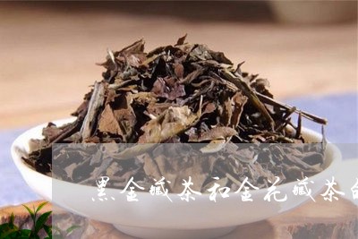 黑金藏茶和金花藏茶的区别/2023051189492