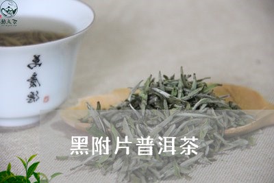 黑附片普洱茶/2023042537677