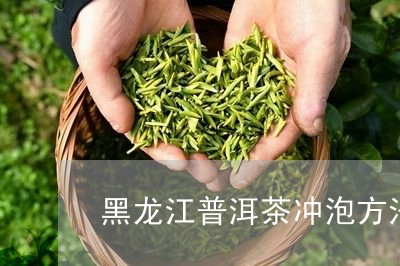 黑龙江普洱茶冲泡方法与技巧/2023052758371