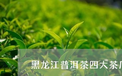 黑龙江普洱茶四大茶厂/2023062825048