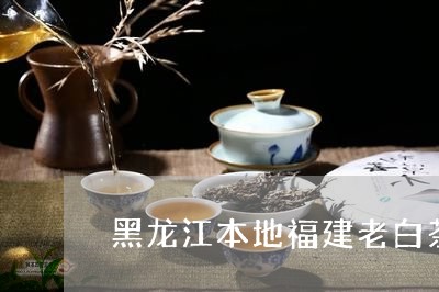 黑龙江本地福建老白茶好处/2023082572847