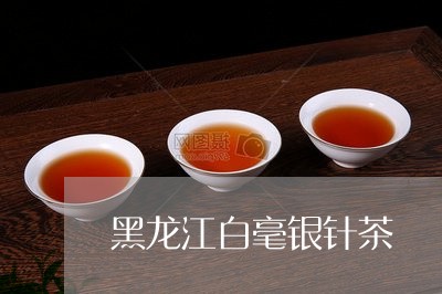 黑龙江白毫银针茶/2023090696957