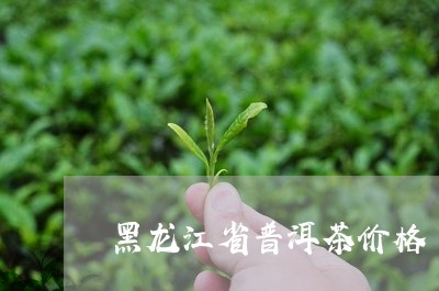 黑龙江省普洱茶价格/2023070956059