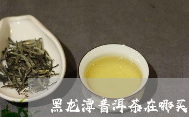 黑龙潭普洱茶在哪买最好/2023121872637