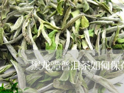 黑龙潭普洱茶如何保存的/2023121881814