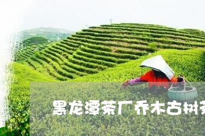 黑龙潭茶厂乔木古树茶/2023061015938