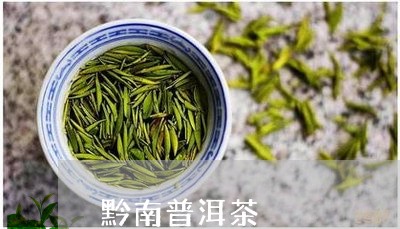 黔南普洱茶/2023090559272