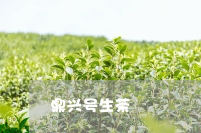 鼎兴号生茶/2023041731723