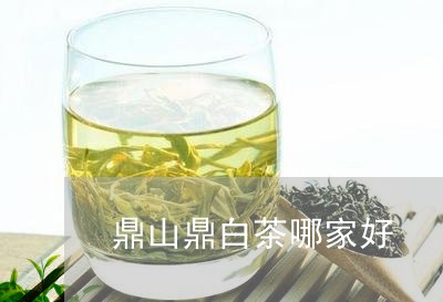 鼎山鼎白茶哪家好/2023071266050