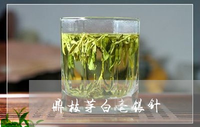 鼎枝芽白毫银针/2023112421725