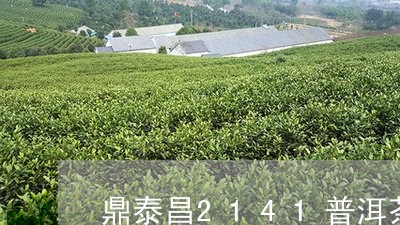 鼎泰昌2141普洱茶/2023100601514