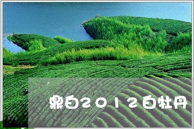 鼎白2012白牡丹/2023120584037