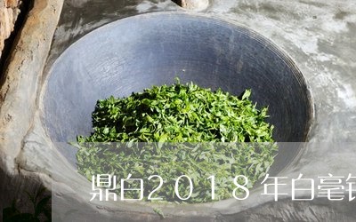 鼎白2018年白毫银针/2023092401926