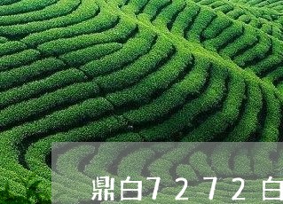 鼎白7272白牡丹/2023120518158