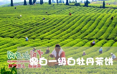 鼎白一级白牡丹茶饼/2023120515949