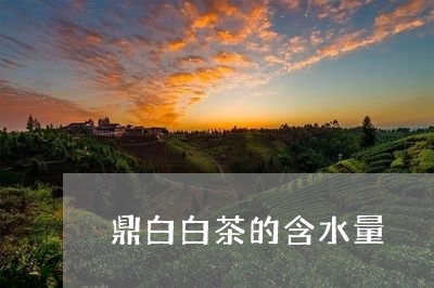 鼎白白茶的含水量/2023071220692