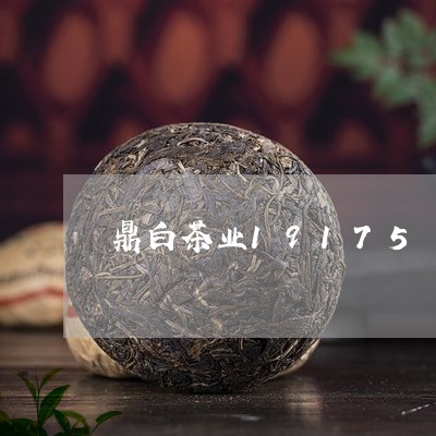 鼎白茶业19175/2023071336248