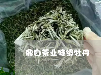 鼎白茶业特级牡丹/2023071285058