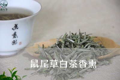 鼠尾草白茶香熏/2023073197030