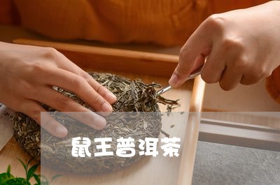 鼠王普洱茶/2023102539503