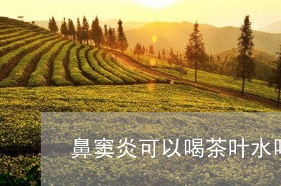 鼻窦炎可以喝茶叶水吗/2023061115360