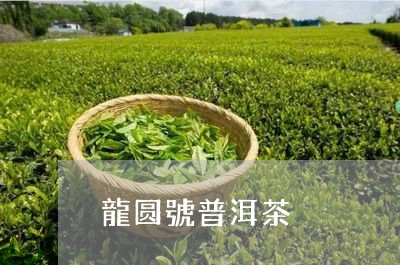 龍圆號普洱茶/2023042837592