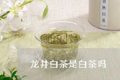 龙井白茶是白茶吗/2023071273159