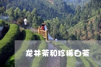 龙井茶和珍稀白茶/2023071239706