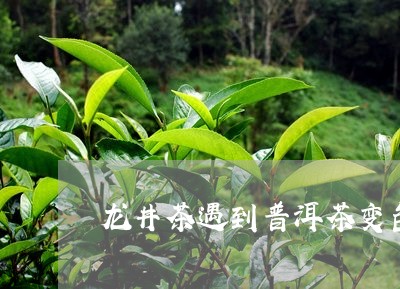 龙井茶遇到普洱茶变色的原因/2023121824824