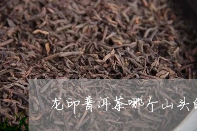 龙印普洱茶哪个山头的/2023062210658