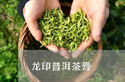 龙印普洱茶膏/2023042592033