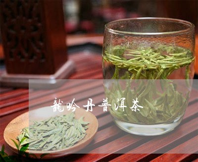 龙吟丹普洱茶/2023042772126