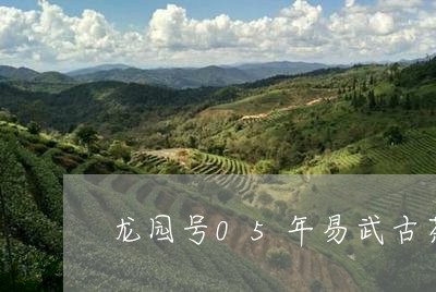 龙园号05年易武古茶价格/2023051287374