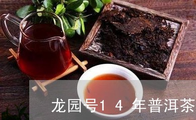 龙园号14年普洱茶膏/2023062959581