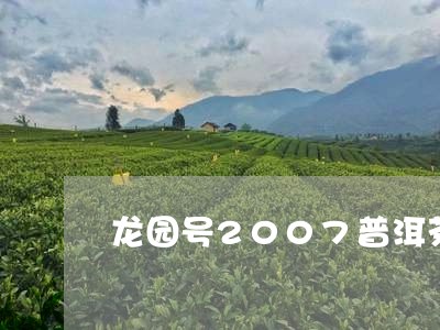 龙园号2007普洱茶/2023062898262