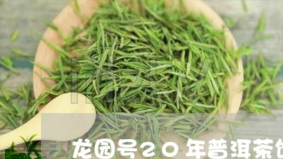 龙园号20年普洱茶饼/2023062325258