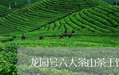 龙园号六大茶山茶王饼/2023071539382