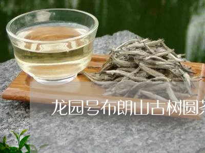 龙园号布朗山古树圆茶/2023071693128